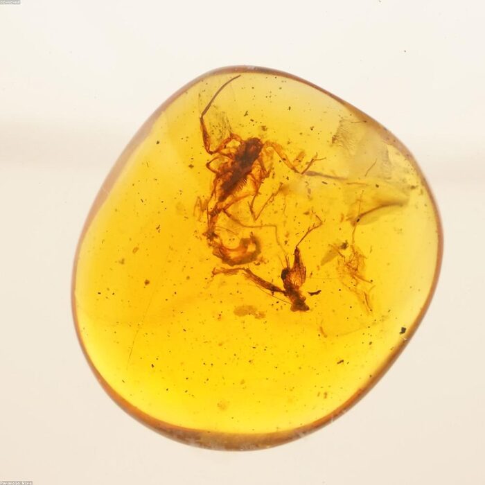 Amber